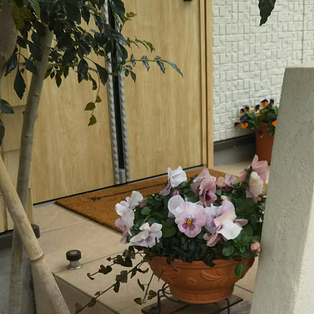 ym3さんの実例写真