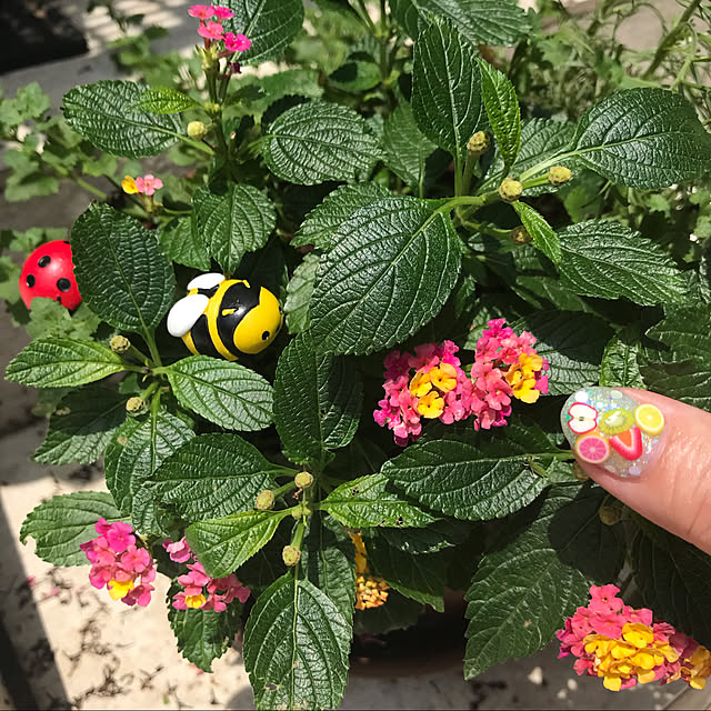 makiさんの実例写真
