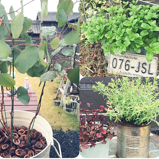 hachi-mi-.さんの実例写真