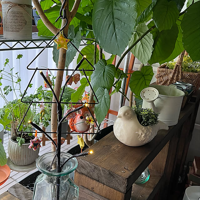 mohhaさんの実例写真