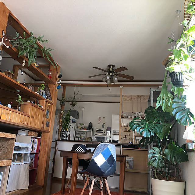 Mikaさんの実例写真
