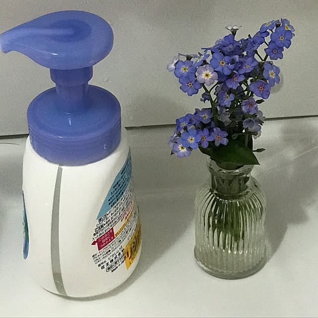 kotoさんの実例写真