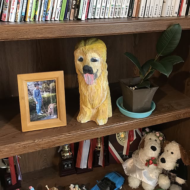tornadeさんの実例写真