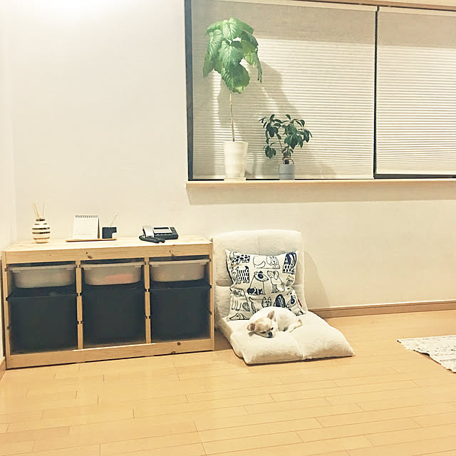 haritakaさんの実例写真