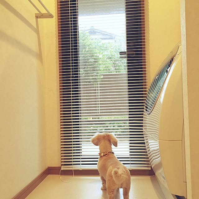 uyakoさんの実例写真