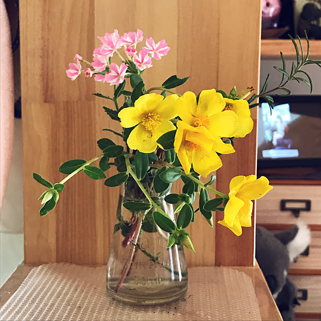 amicoさんの実例写真