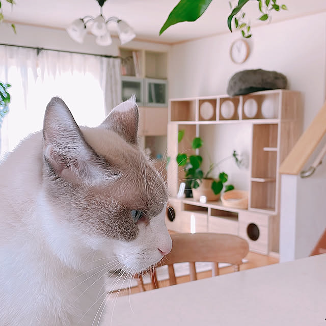 milkcocoaさんの部屋