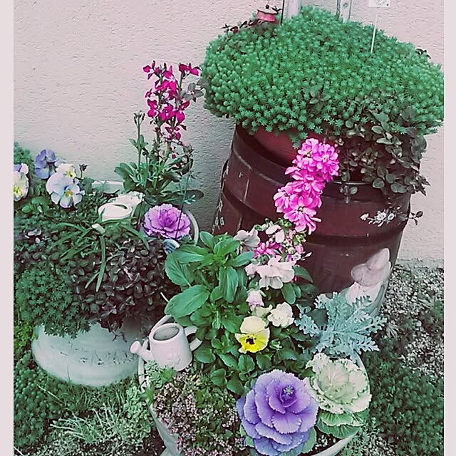 portulacaさんの実例写真