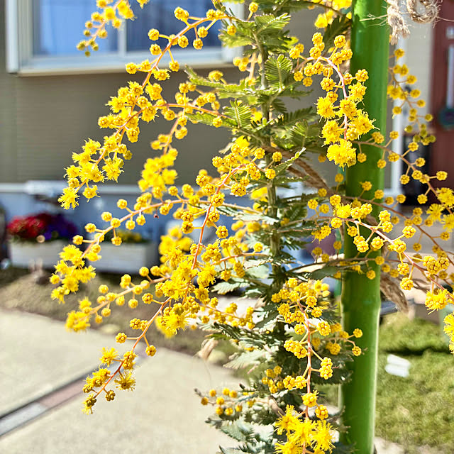 Junさんの実例写真