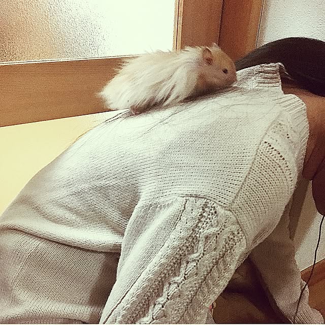 emiさんの実例写真