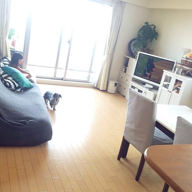 Yumiさんの実例写真