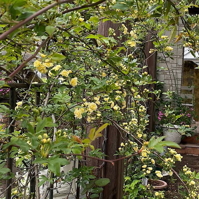 natsumiさんの部屋