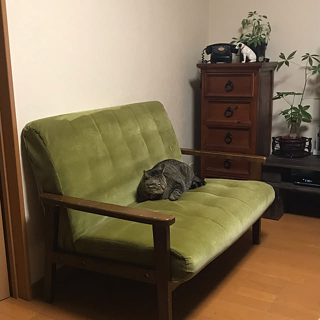 mikan161さんの実例写真
