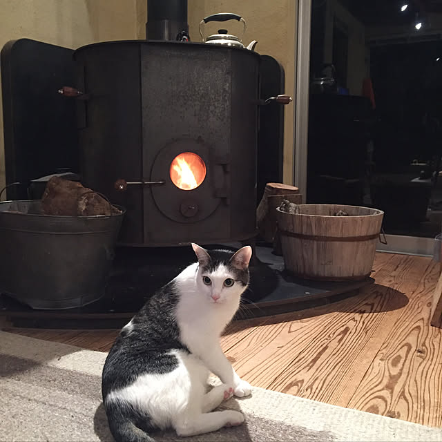 nationalさんの実例写真