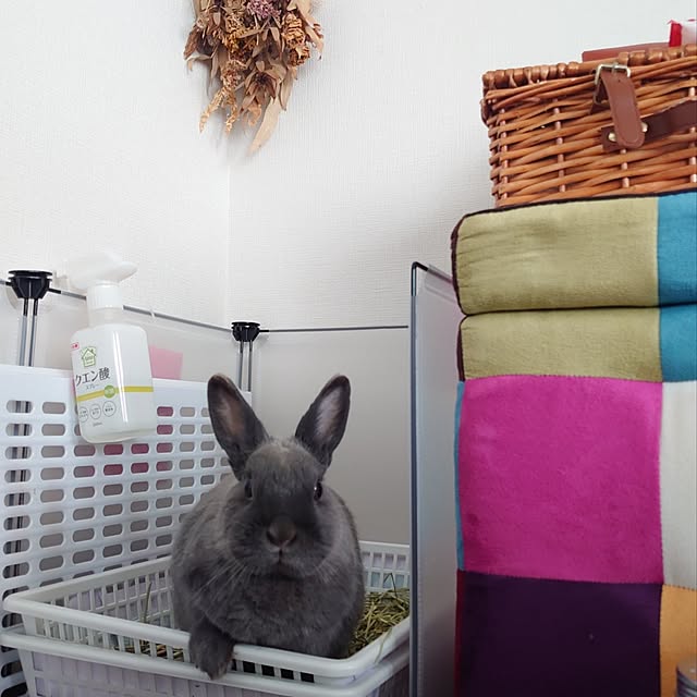 kirariさんの部屋