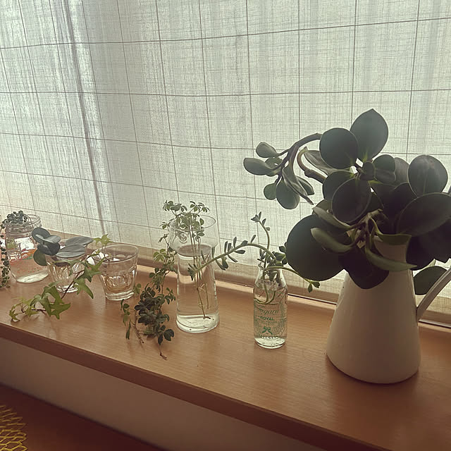 magnoliaさんの部屋