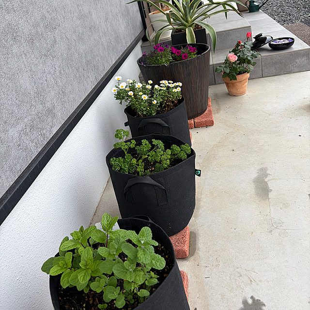 tomakiさんの部屋