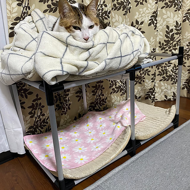 kesenさんの実例写真