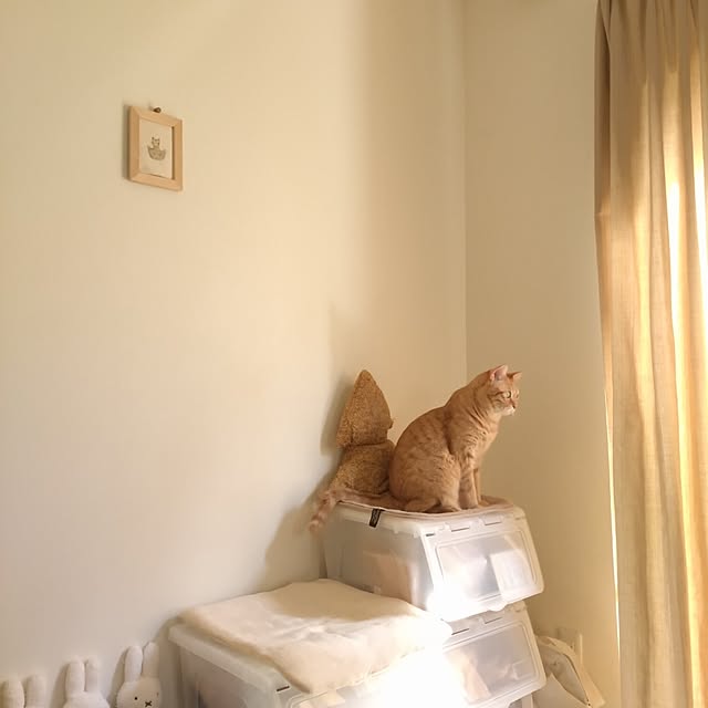 mayutan.さんの部屋