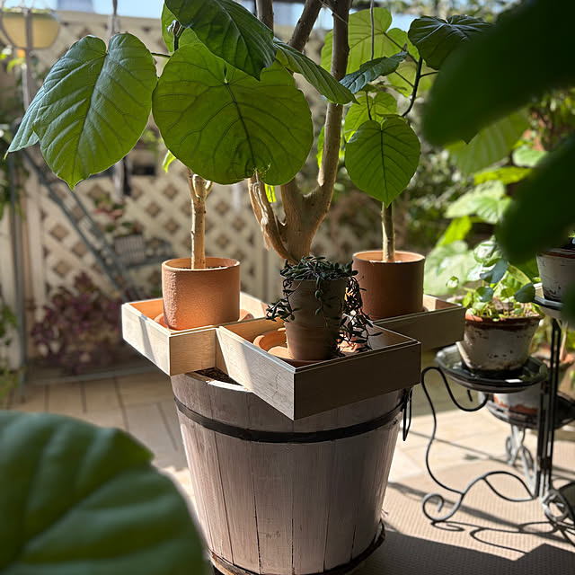 momo_sanさんの部屋