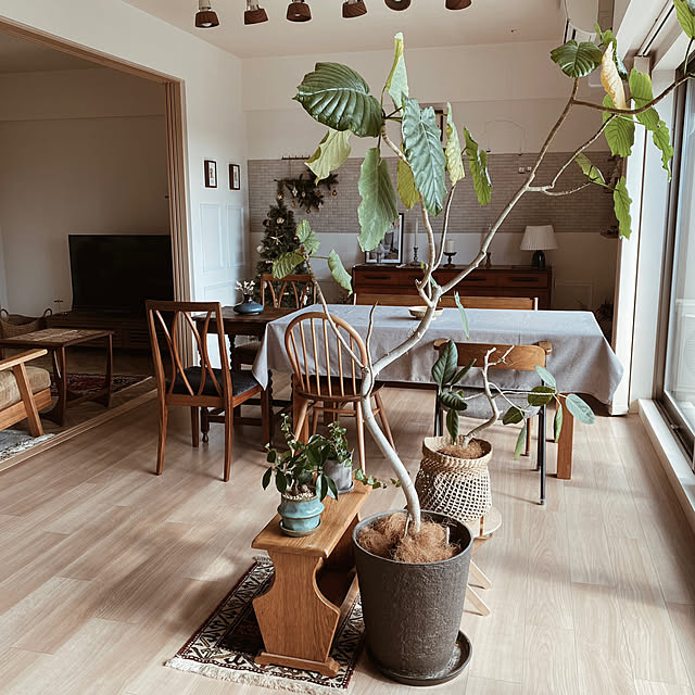 c___homeさんの実例写真