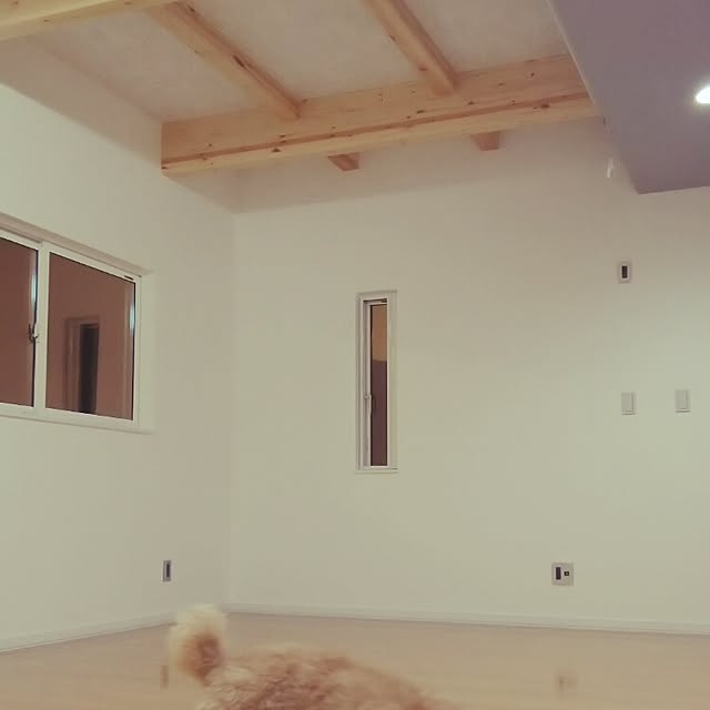 tentenさんの実例写真