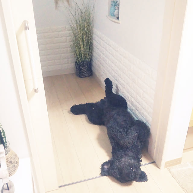 babanaさんの実例写真