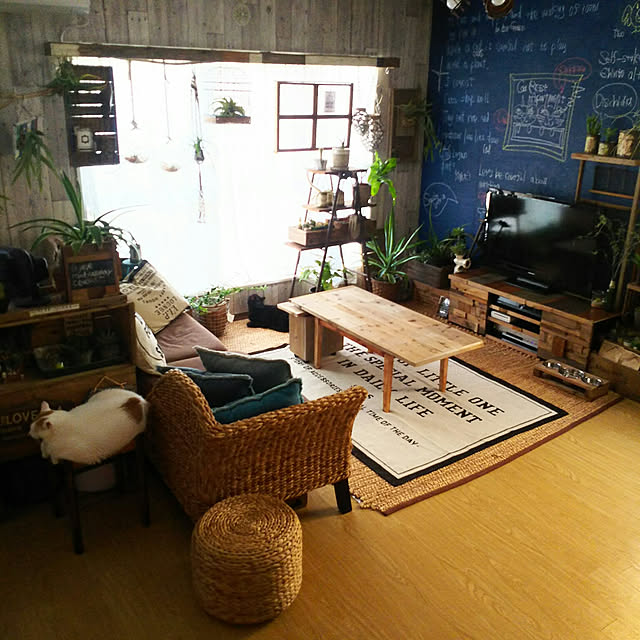 ugさんの実例写真