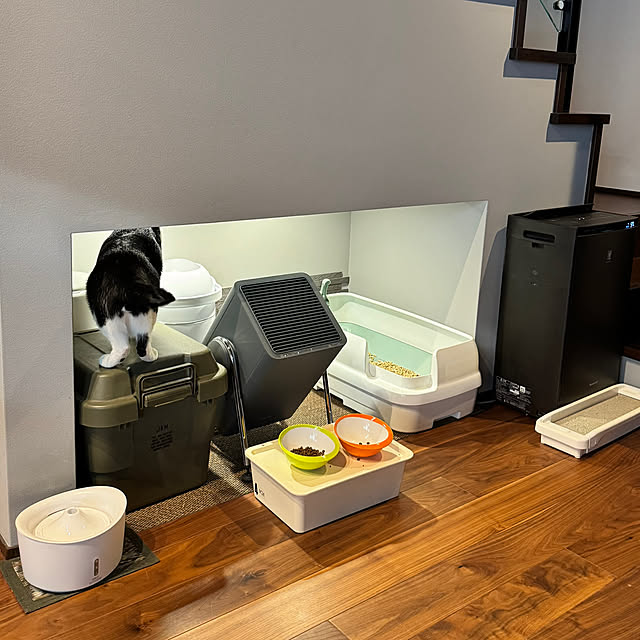 porinさんの部屋