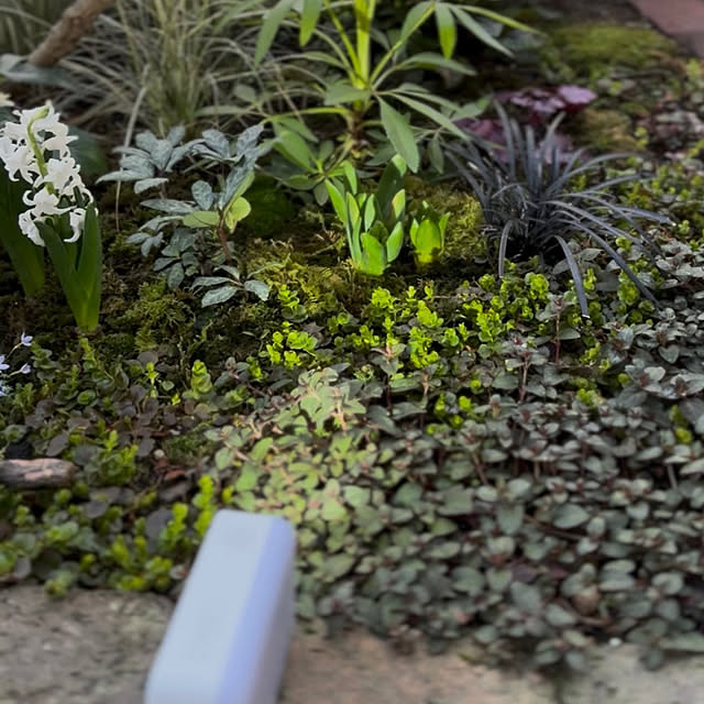 kyoko1124koさんの部屋