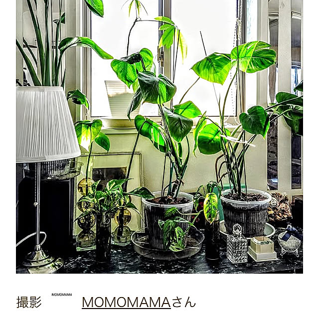 MOMOMAMAさんの実例写真