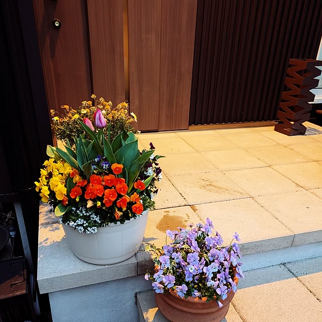 壁/天井/ガーデニング/花のある暮らし/春が来た/春の花...などのインテリア実例 - 2025-04-18 12:43:57