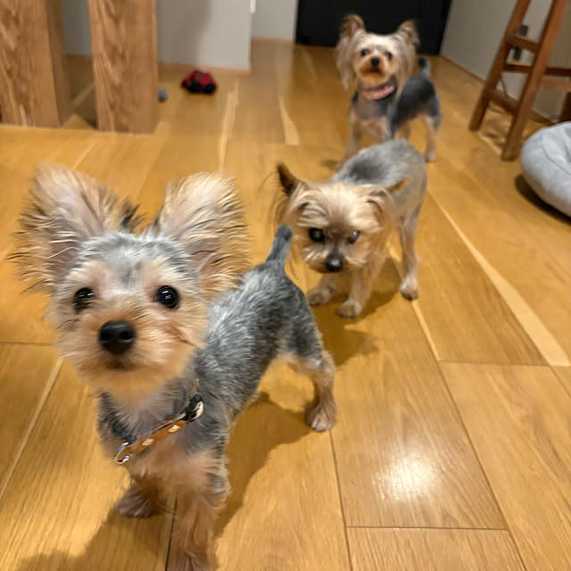 Y33355さんの部屋