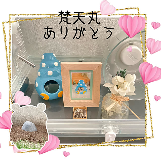 adamoさんの実例写真