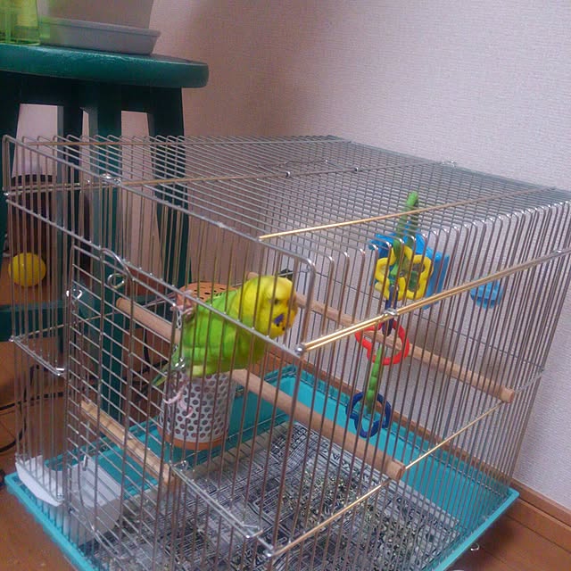 chicoさんの実例写真