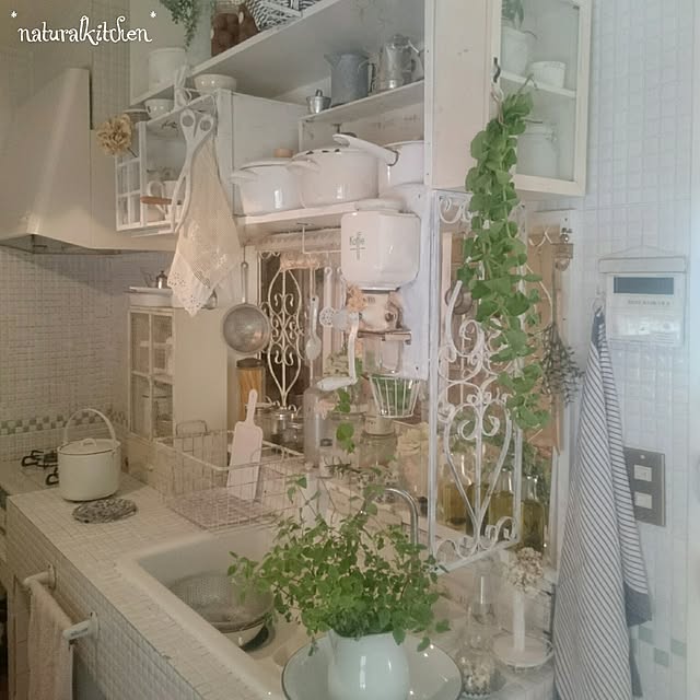 whiteroseさんの実例写真