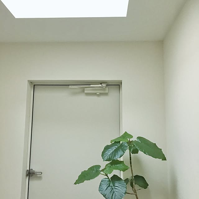a.n.さんの実例写真