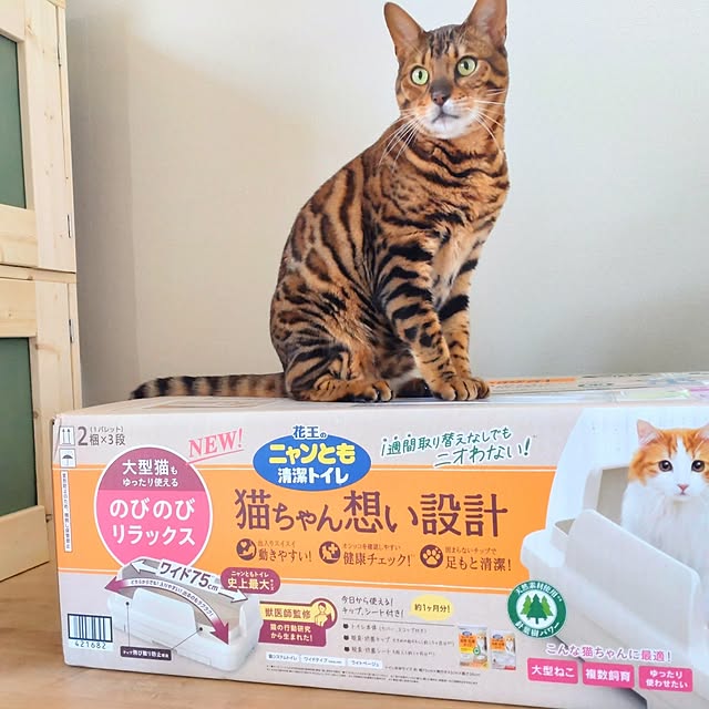 KN-necoさんの部屋