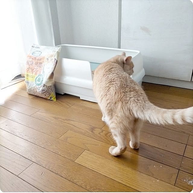 heart.emiemi57.whiteさんの実例写真