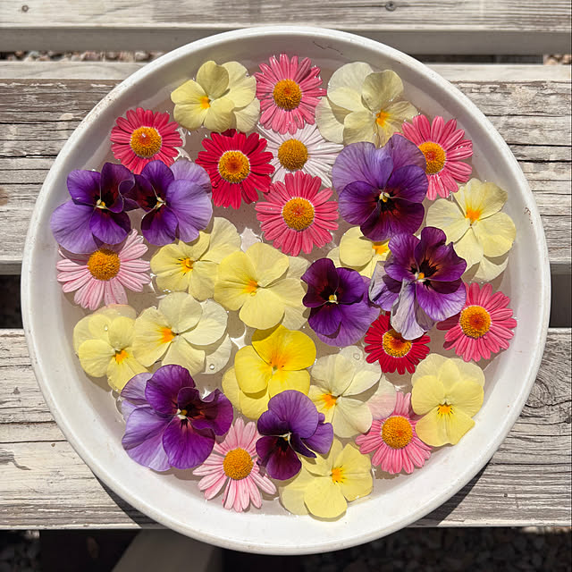 mocomocoさんの実例写真