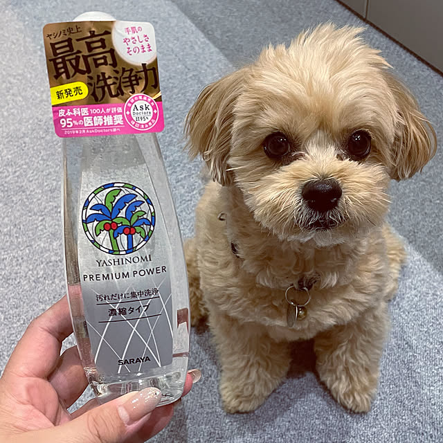 ikt.tamaさんの実例写真