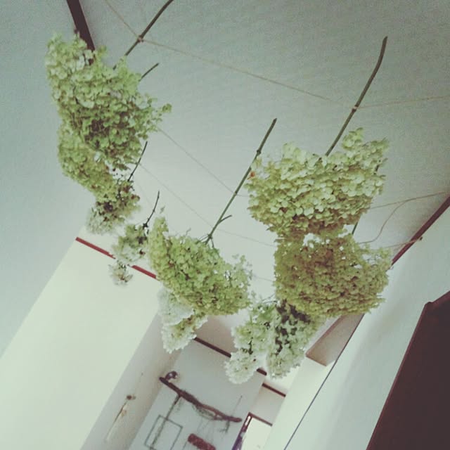 cache-cacheさんの実例写真