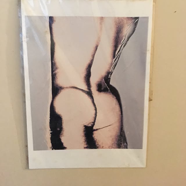 woxvoxさんの実例写真