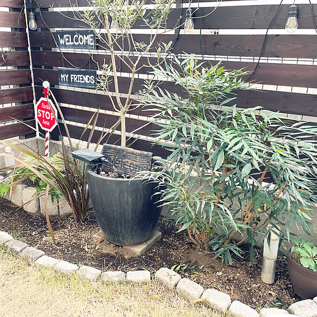 ___.homeさんの実例写真