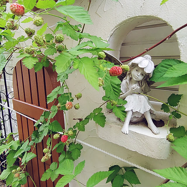Bienvenueさんの実例写真