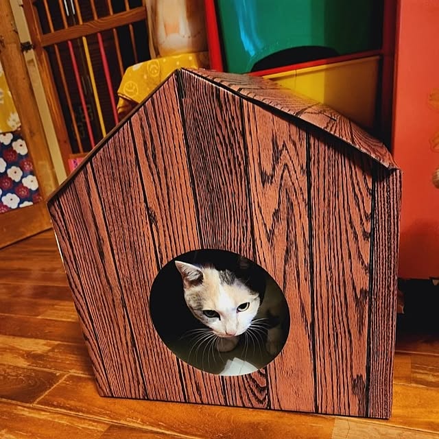 kumutanさんの実例写真