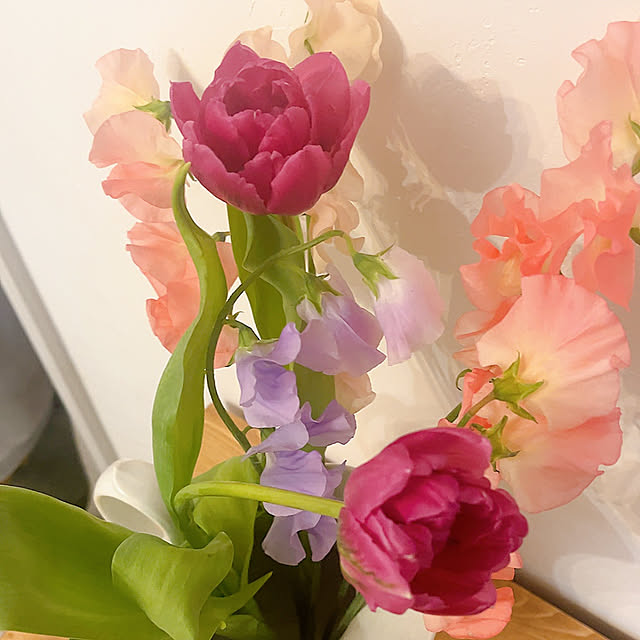 mikiponさんの部屋