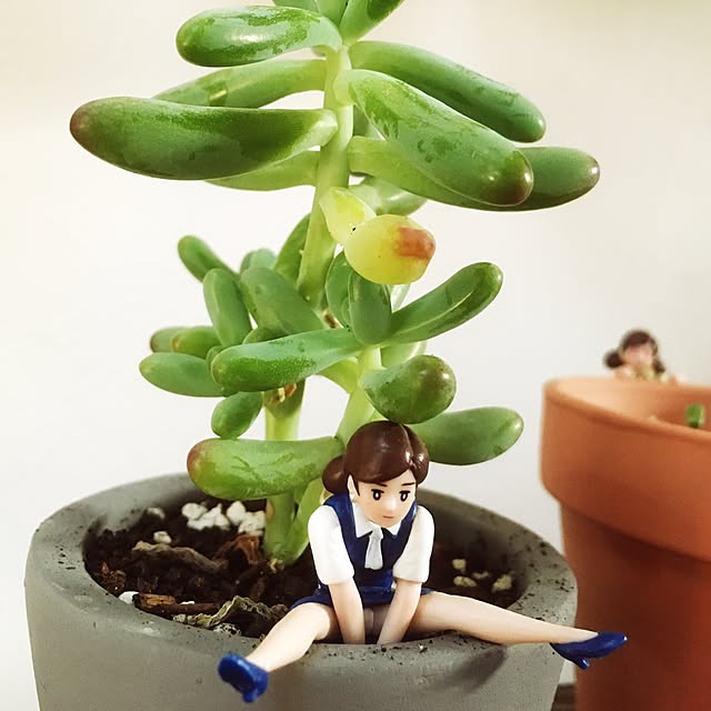 takahiroさんの実例写真
