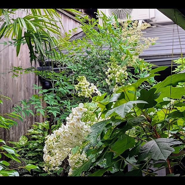 aromameさんの部屋