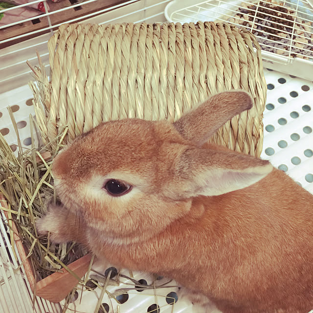 Yasuyukiさんの実例写真